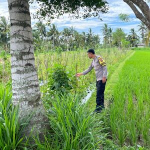 Sambang Desa di Kumbang, Bhabinkamtibmas Ajak Warga Kompak Jaga Pangan dan Kamtibmas