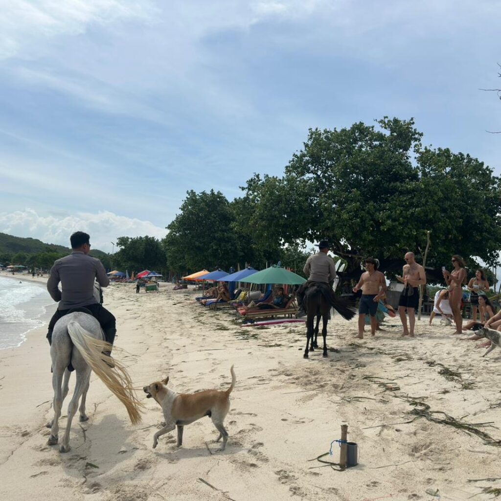 Libur Lebaran, Unit K9 Polda NTB Amankan Kawasan Wisata Pantai Tanjung Aan