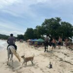 Libur Lebaran, Unit K9 Polda NTB Amankan Kawasan Wisata Pantai Tanjung Aan