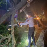 Quick Response Layanan 110, Pamapta Polres Bima Kabupaten Evakuasi Pohon Tumbang di Desa Donggobolo