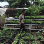 Polri Perkuat Ketahanan Pangan Warga Desa Bengkel Lombok Barat