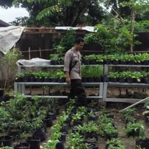 Polri Perkuat Ketahanan Pangan Warga Desa Bengkel Lombok Barat