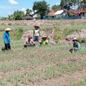 Bhabinkamtibmas Desa Wanasaba Lakukan Sambang dan Sosialisasi Program Pemerintah