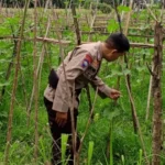 Polri Kawal Program Ketahanan Pangan di Desa Terong Tawah