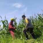 Sinergi Polri dan Petani, Kunci Utama Wujudkan Kedaulatan Pangan Berkelanjutan di Lombok Barat
