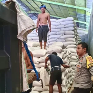 Langkah Nyata Polsek Lembar Dukung Ketahanan Pangan, Dampingi Penyerapan Jagung oleh Bulog