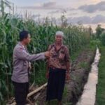 Sinergi Polri dan Warga Gerung: Mengoptimalkan Potensi Lokal untuk Menjaga Ketahanan Pangan Nasional