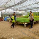 Bhabinkamtibmas Desa Jelantik Dorong Warga Manfaatkan Pekarangan Bergizi