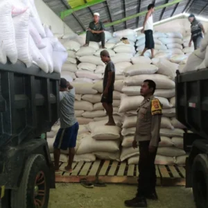 Langkah Nyata Polres Lombok Barat Kawal Distribusi Jagung Petani Mareje Timur Tembus Bulog