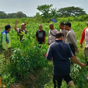 Perkuat Ketahanan Pangan, Bhabinkamtibmas Batulayar Ajak Warga Manfaatkan Lahan Kosong