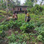 Bhabinkamtibmas Desa Setuta Ajak Warga Manfaatkan Pekarangan Rumah untuk Ketahanan Pangan