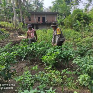 Bhabinkamtibmas Desa Setuta Ajak Warga Manfaatkan Pekarangan Rumah untuk Ketahanan Pangan