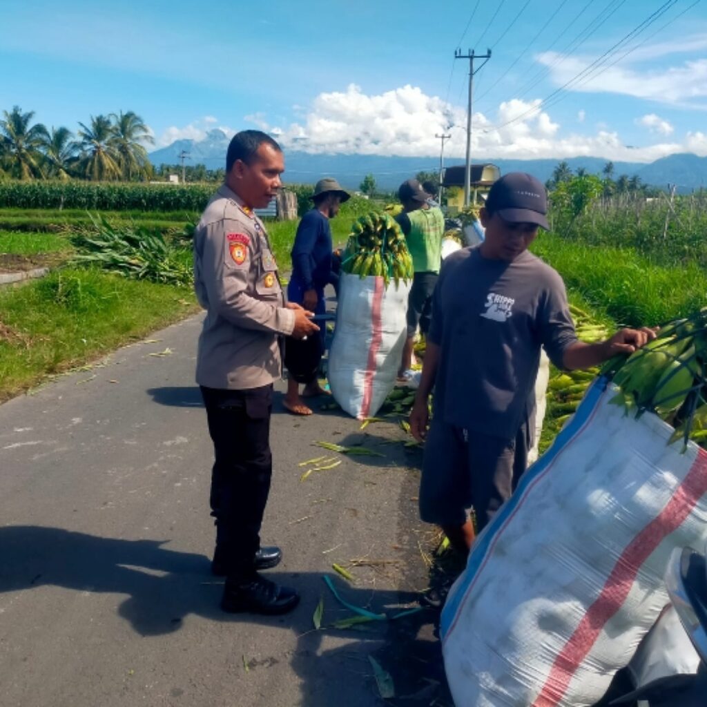 Kapolsek Wanasaba Silaturahmi dan Koordinasi Persiapan Panen Raya Jagung di Mamben Baru