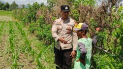 Bhabinkamtibmas Desa Labuapi Optimalkan Lahan Pekarangan