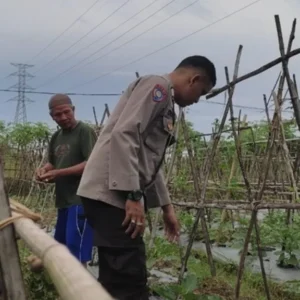 Bhabinkamtibmas Kuranji Dalang Motivasi Petani Sayur: Optimalkan Lahan Pekarangan di Desa