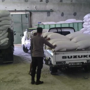 Petani Sekotong Bernapas Lega, Ribuan Kilogram Jagung Berhasil Tembus Standar Ketat Bulog dengan Pengawalan Polri