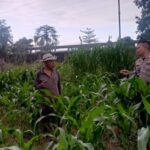 Lombok Barat Percepat Ketahanan Pangan Nasional Lewat Desa