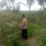 Bhabinkamtibmas Desa Kesik Cek Lahan Ketahanan Pangan Bergizi Bersama Warga