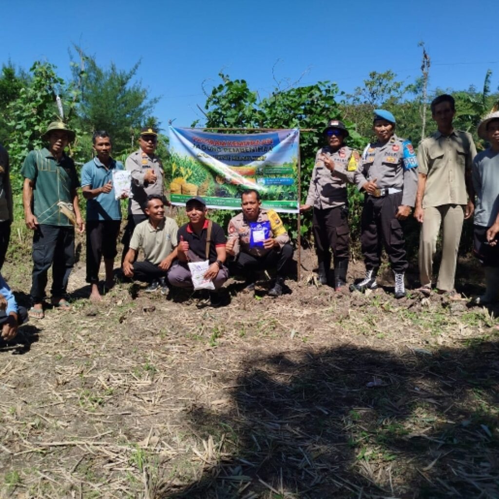Kapolsek Sakra Pimpin Kegiatan Penanaman Jagung Bersama Masyarakat di Lombok Timur