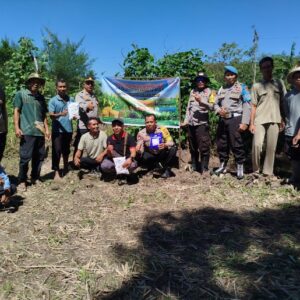 Kapolsek Sakra Pimpin Kegiatan Penanaman Jagung Bersama Masyarakat di Lombok Timur