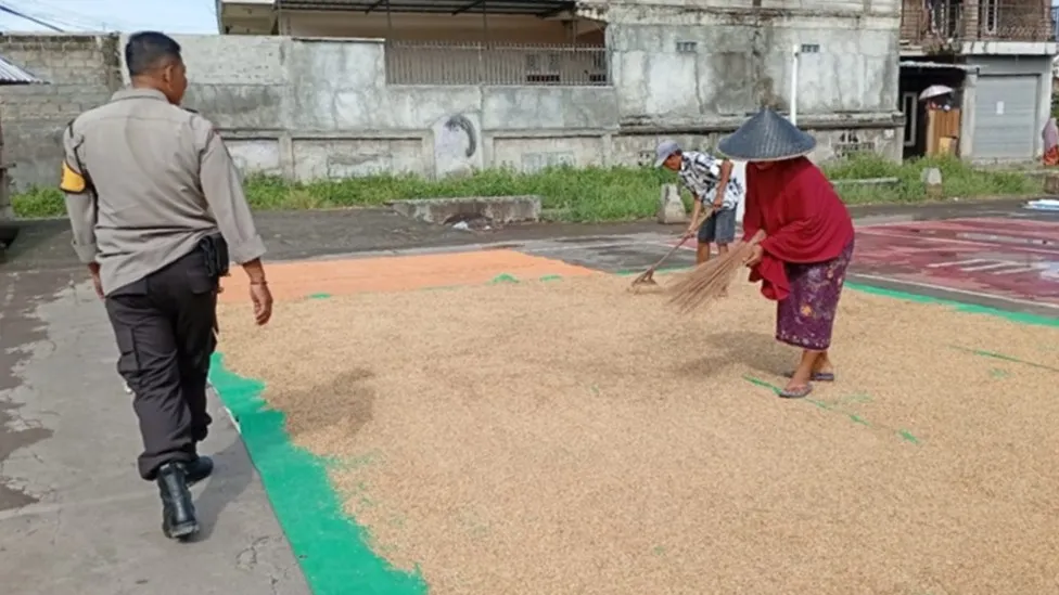 Sinergi Polri dan Masyarakat, Bhabinkamtibmas Desa Merembu Perkuat Ketahanan Pangan Berkelanjutan