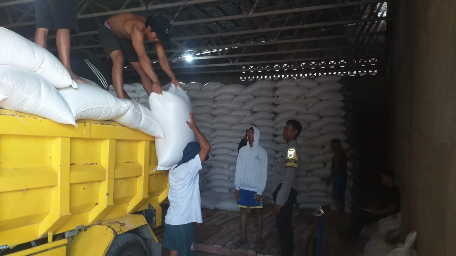 Sinergi Polri dan Petani Mareje: Puluhan Ton Jagung Hasil Panen Lembar Resmi Didistribusikan ke Bulog