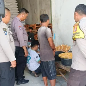 Sinergi Polri dan Petani, Polsek Gerung Distribusikan Tonase Jagung Pipilan ke Gudang Bulog Gelogor