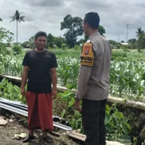 Strategi Bhabinkamtibmas Labuapi Perkuat Ketahanan Pangan Melalui Pemanfaatan Lahan Pekarangan