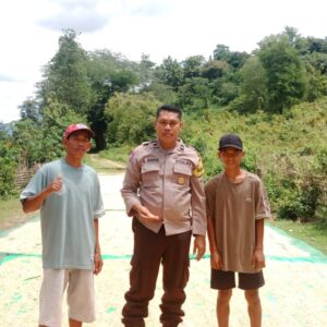 Polsek Pajo Pantau Penjemuran Jagung, Dukung Ketahanan Pangan Nasional
