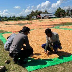 Bantu Kegiatan Petani di Desa Binaan, Bhabinkamtibmas Polsek Madapangga Sukseskan Program Ketahanan Pangan Nasional