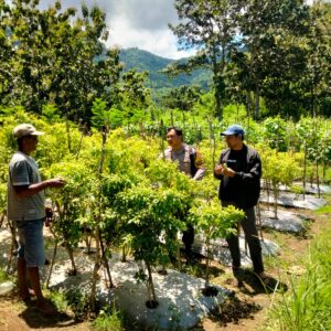 *Bhabinkamtibmas Desa Seran Dampingi Warga Kelola Pekarangan Pangan Bergizi*