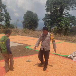 Ketahanan Pangan Nasional, Bhabinkamtibmas Polsek Donggo Aktif Dampingi dan Bantu Petani