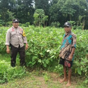Bhabinkamtibmas Desa Bakajaya Dorong Ketahanan Pangan Melalui Budidaya Terong di Pekarangan Warga