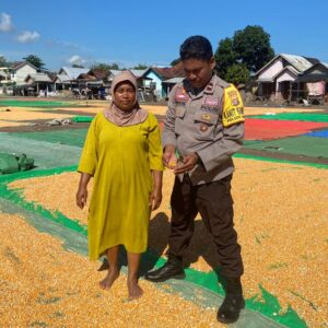 Ketahanan Pangan Nasional, Kanit Binmas Polsek Bolo Pantau dan Bantuan Jemur Jagung Warga