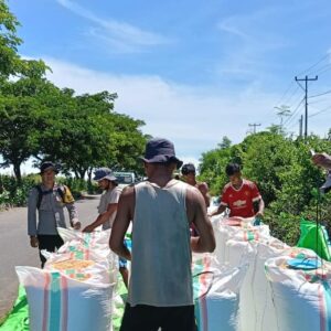 Bhabinkamtibmas Dampingi Pengisian Jagung ke Dalam Karung Hasil Panen Warga