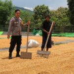 Bhabinkamtibmas Polsek Dompu Lakukan Pemantauan Jagung Warga Dukung Ketahanan Pangan Nasional
