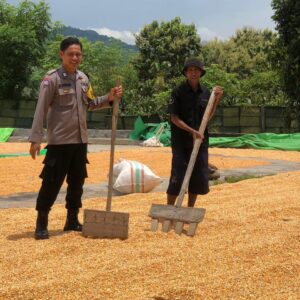 Bhabinkamtibmas Polsek Dompu Lakukan Pemantauan Jagung Warga Dukung Ketahanan Pangan Nasional