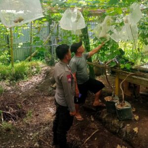 **Bhabinkamtibmas Desa Lamusung Dampingi Warga Kelola Lahan Pangan Bergizi**