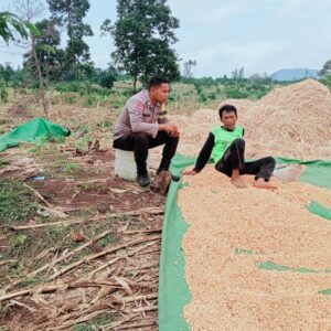 Pantau Panen Jagung Warga, Wujud Nyata Dukungan Polri terhadap Ketahanan Pangan