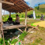 Bhabinkamtibmas Desa Jala Turun ke Lapangan, Pastikan Hasil Panen Aman dan Optimal