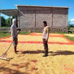 Bhabinkamtibmas Desa Cempi Jaya Laksanakan Pemantauan Lahan Jagung Dukung Program Ketahanan Pangan Nasional