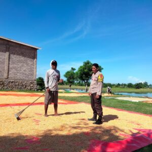 Bhabinkamtibmas Desa Cempi Jaya Laksanakan Pemantauan Lahan Jagung Dukung Program Ketahanan Pangan Nasional