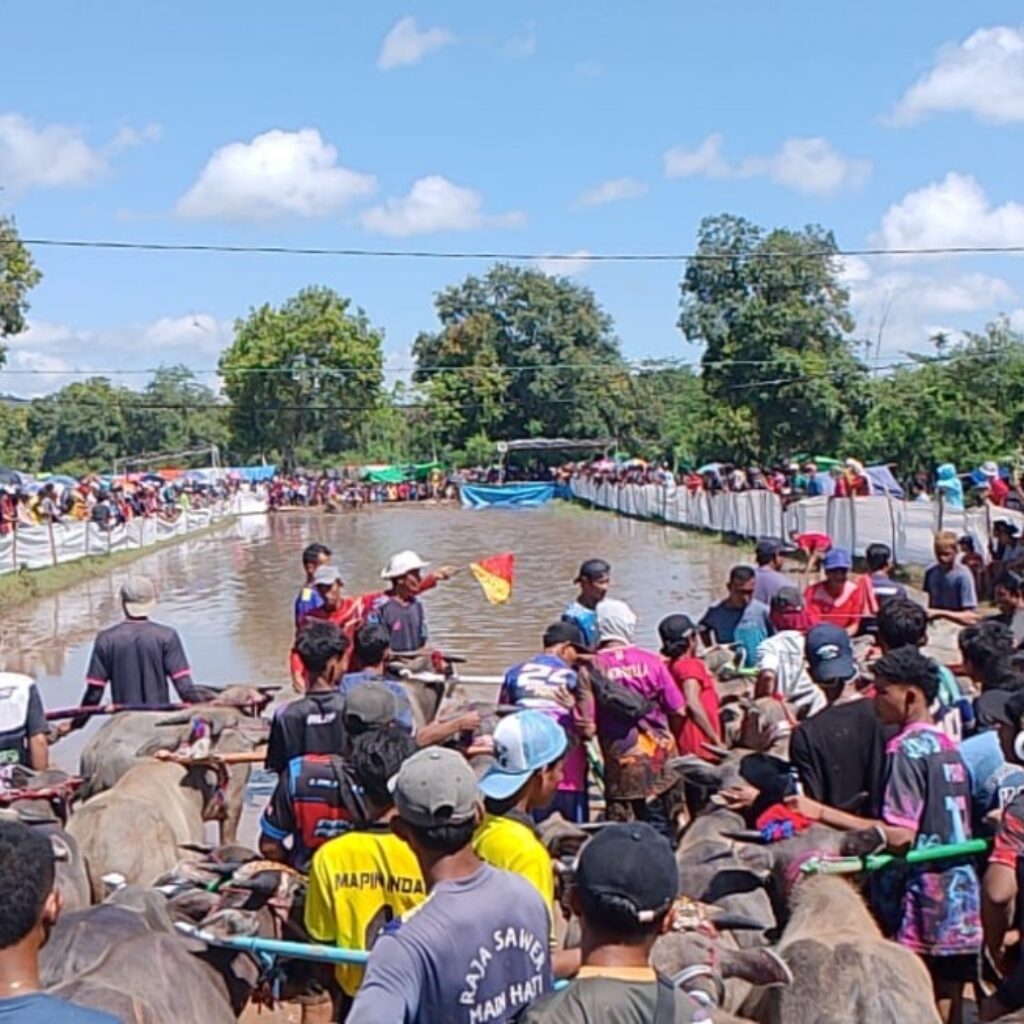 Pastikan Keamanan Tradisi Barapan Kebo, Polsek Lape Siagakan Personel di Jalur Lintas Sumbawa-Bima