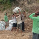 Bhabinkamtibmas Desa Rababaka Pantau Panen Jagung, Dorong Petani Dukung Ketahanan Pangan Nasional