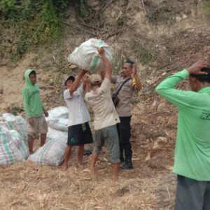 Bhabinkamtibmas Desa Rababaka Pantau Panen Jagung, Dorong Petani Dukung Ketahanan Pangan Nasional