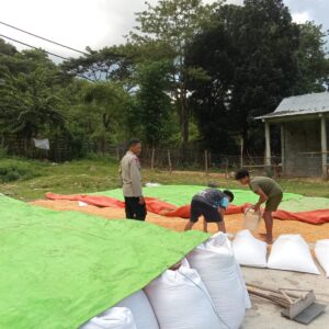 Pemantauan Lahan Jagung oleh Polsek Woja, Wujud Nyata Dukungan Ketahanan Pangan