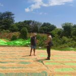 Bhabinkamtibmas Sorinomo Beri Motivasi Petani Tingkatkan Produktivitas Jagung