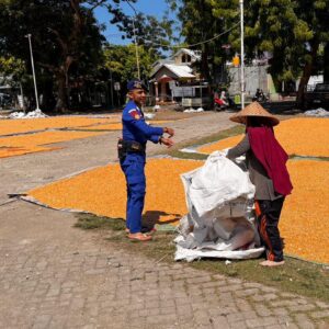 “Polmas”. Satpolairud Polres Bima Kabupaten Bantu Jemur Jagung Warga