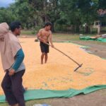 “Polisi Peduli” Bhabinkamtibmas Polsek Soromandi Polres Bima Kabupaten Bantu Kegiatan Warga Binaan