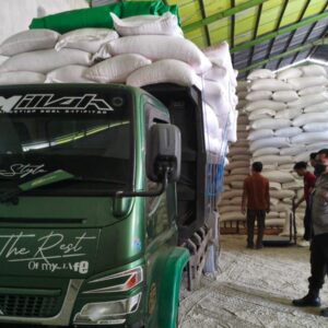 Sinergi Bhabinkamtibmas dan Poktan Batu Rapat Jaya: Pastikan 22 Ton Jagung Petani Terserap Maksimal oleh Negara
